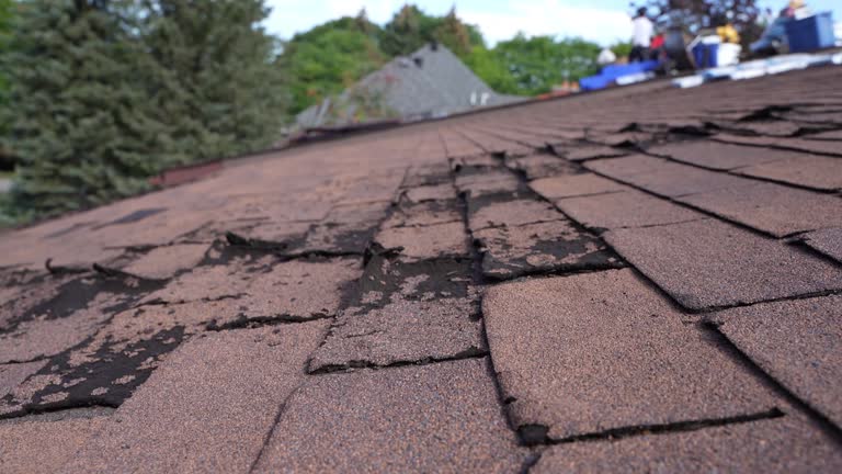 Best Solar Panel Roofing Installation  in Oroville East, CA