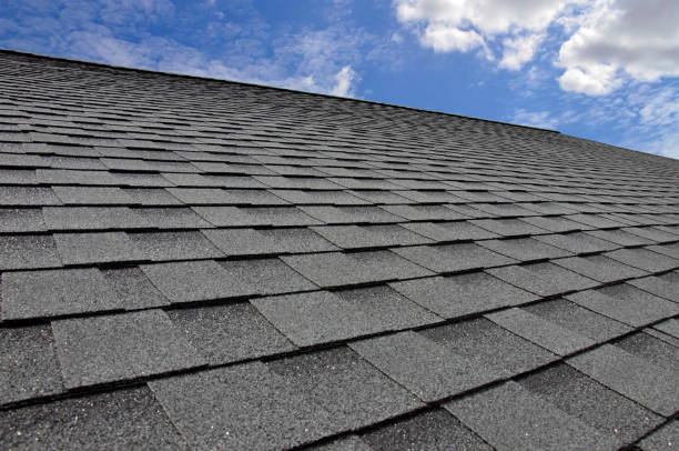 Best Skylight Installation and Repair  in Oroville East, CA